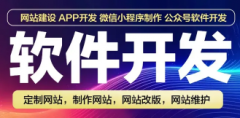 软件开发，APP开发，系统开发，微信