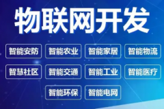 软件开发，商城开发，网站开发，公众号开发