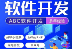 应用软件开发|软件制作|软件开发|微信小程序开发