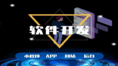 软件开发网站建设小程序开发公众号制作